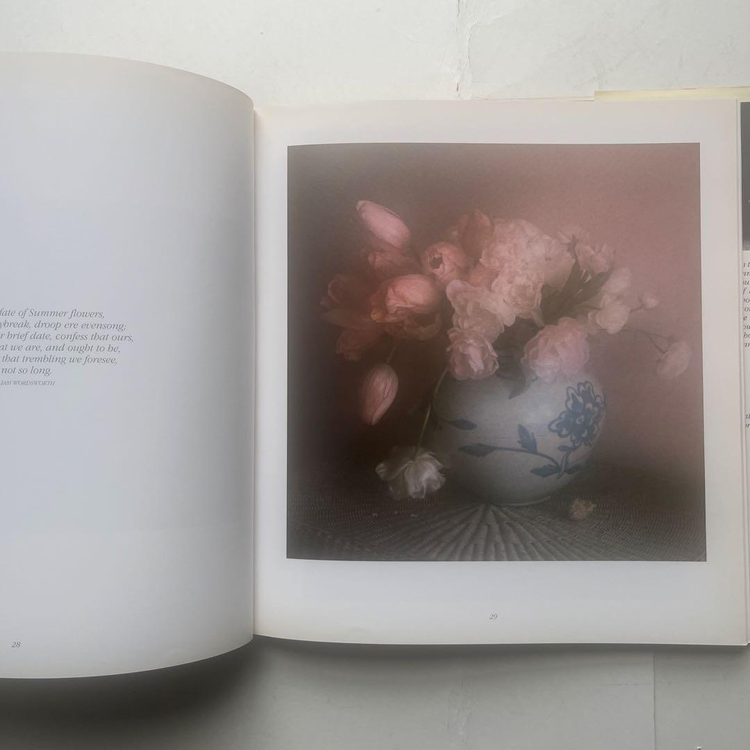 s*y様 希少、　デビットハミルトン写真集4冊組