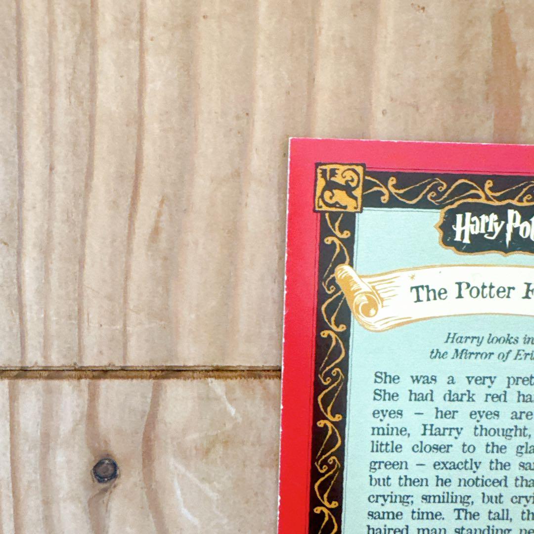 ハリーポッター カエルチョコ 3DカードThe Potter Family