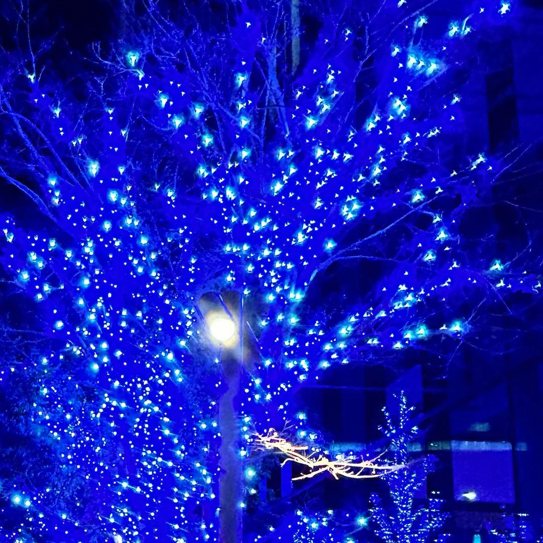 おこめ システムサービスから「日本育ちのおこめ」のプライズが2025年10月に