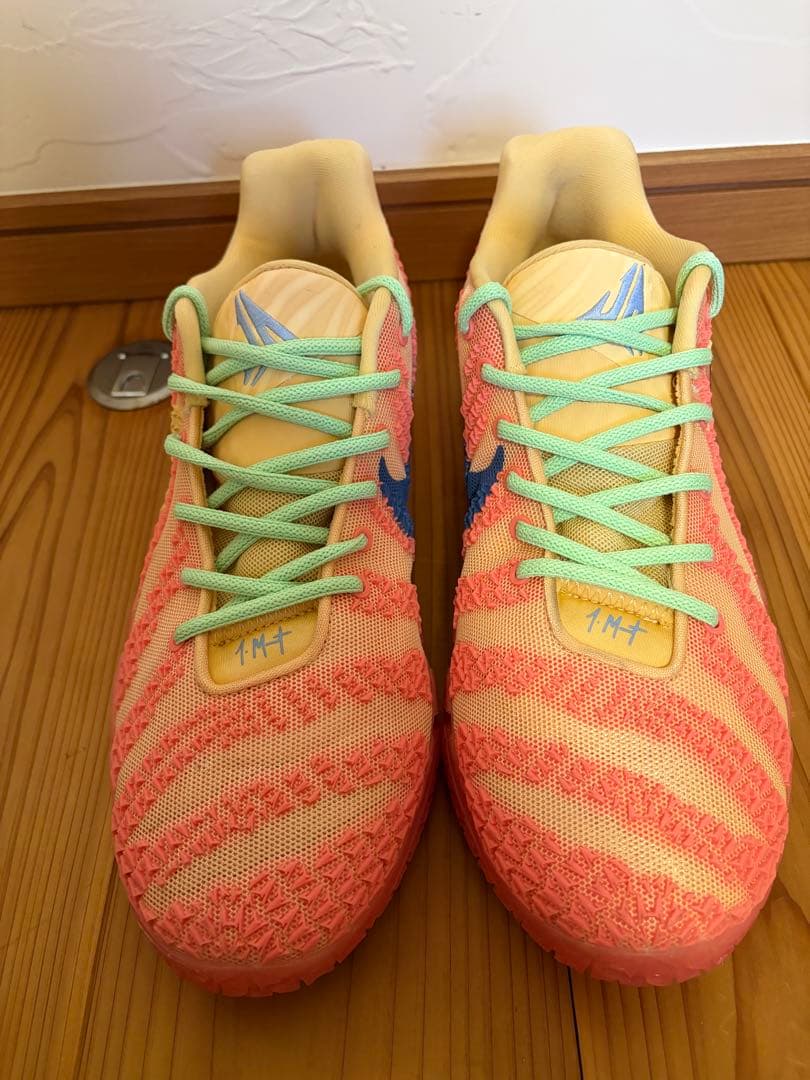 シューズ(男性用) Nike JA3 Daybreak 28.5cm