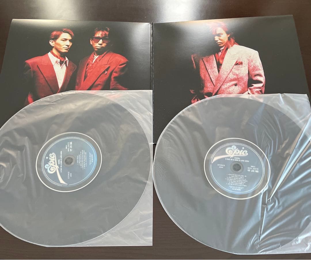 TMネットワーク CAROL CD DVD☆ FINAL4001 / EARTH - メルカリ