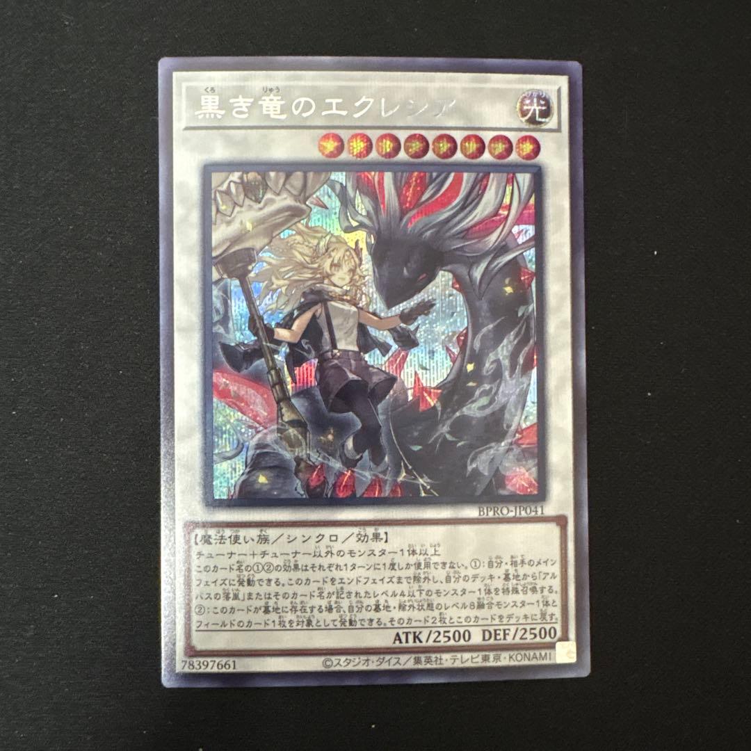 黒き竜のエクレシア シークレット - メルカリ