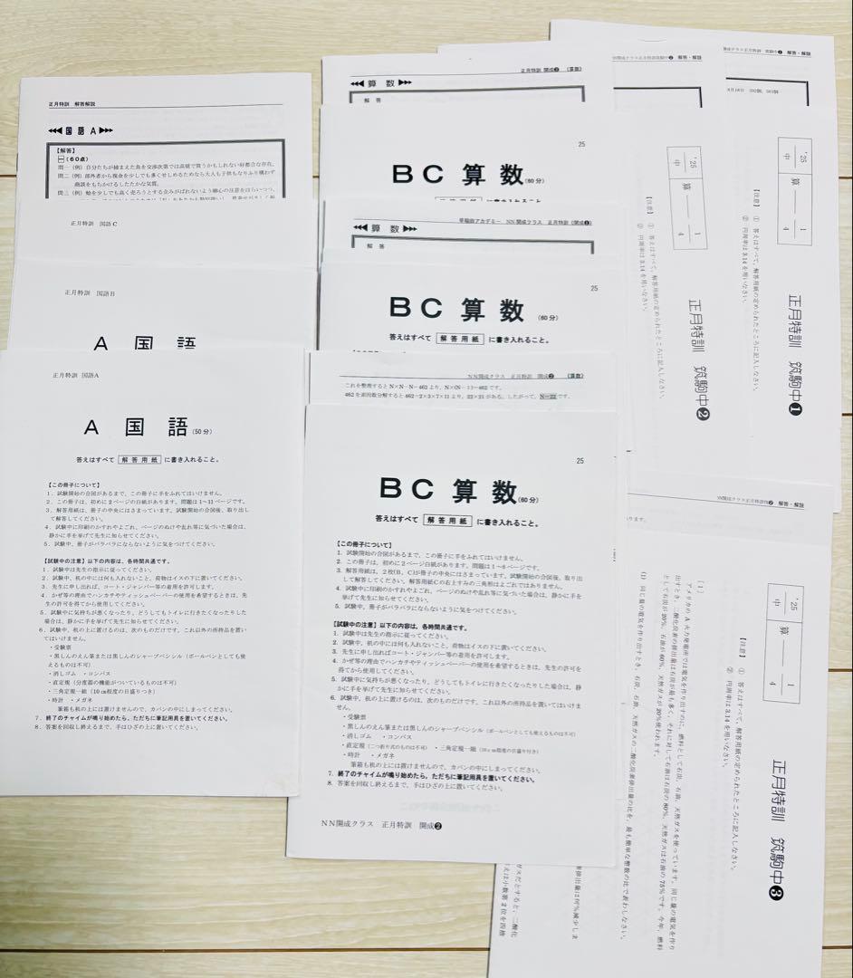 2024-2025 最新版　早稲田アカデミー　NN 開成　筑駒　正月特訓 早稲田アカデミー 必勝5科 筑駒 開成 国立 正月特訓テキスト 英語