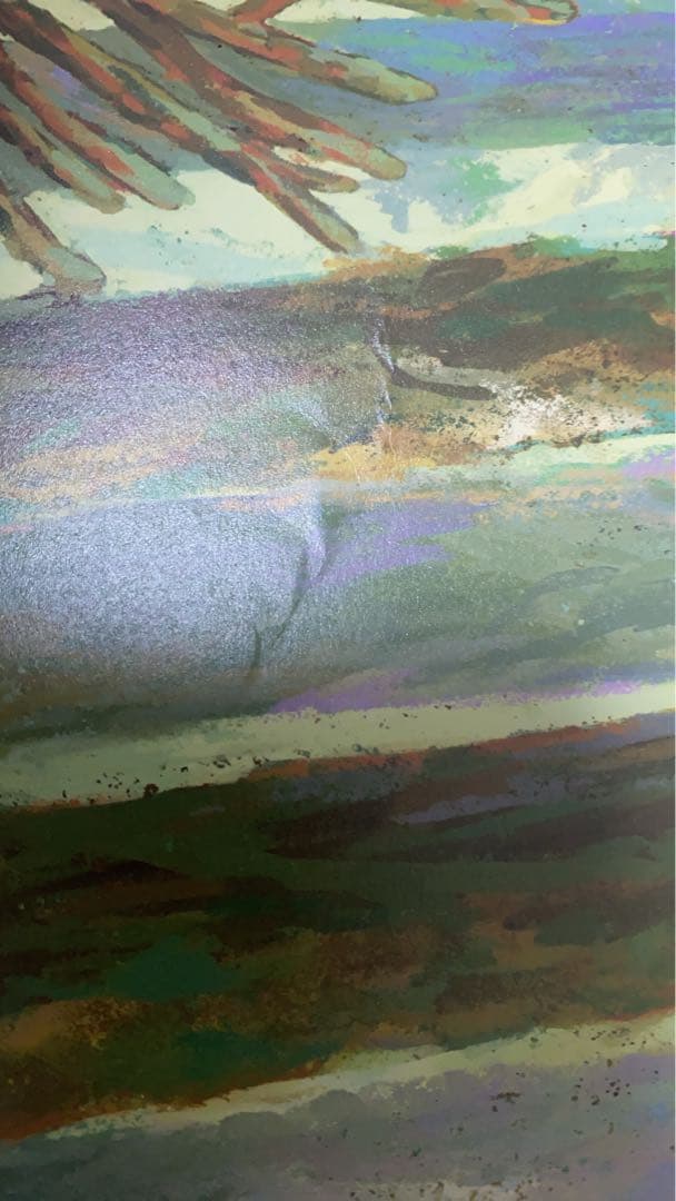 もののけ姫 台湾限定ポスター 85x62cm - メルカリ