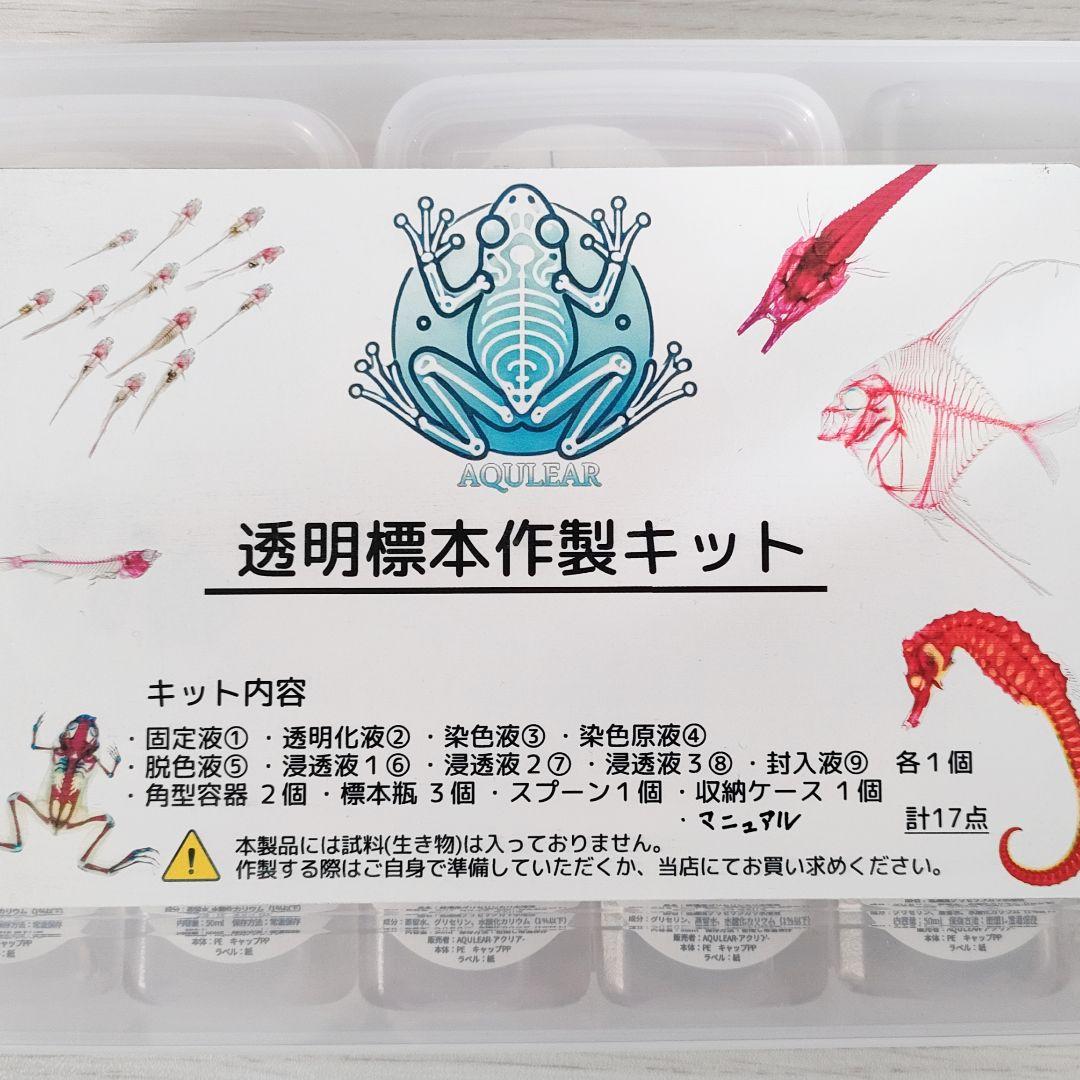 限定販売☆オリジナル商品【透明標本作製キット】全17点 - メルカリ