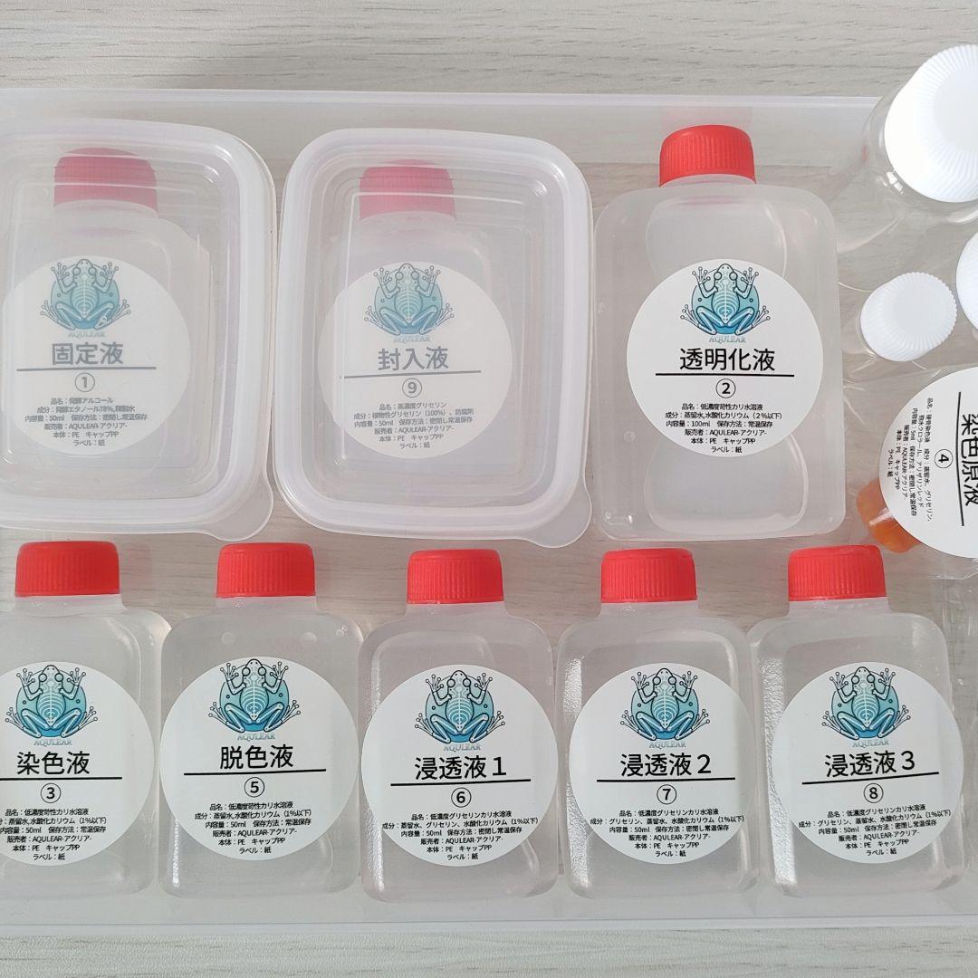 限定販売☆オリジナル商品【透明標本作製キット】全17点 - メルカリ