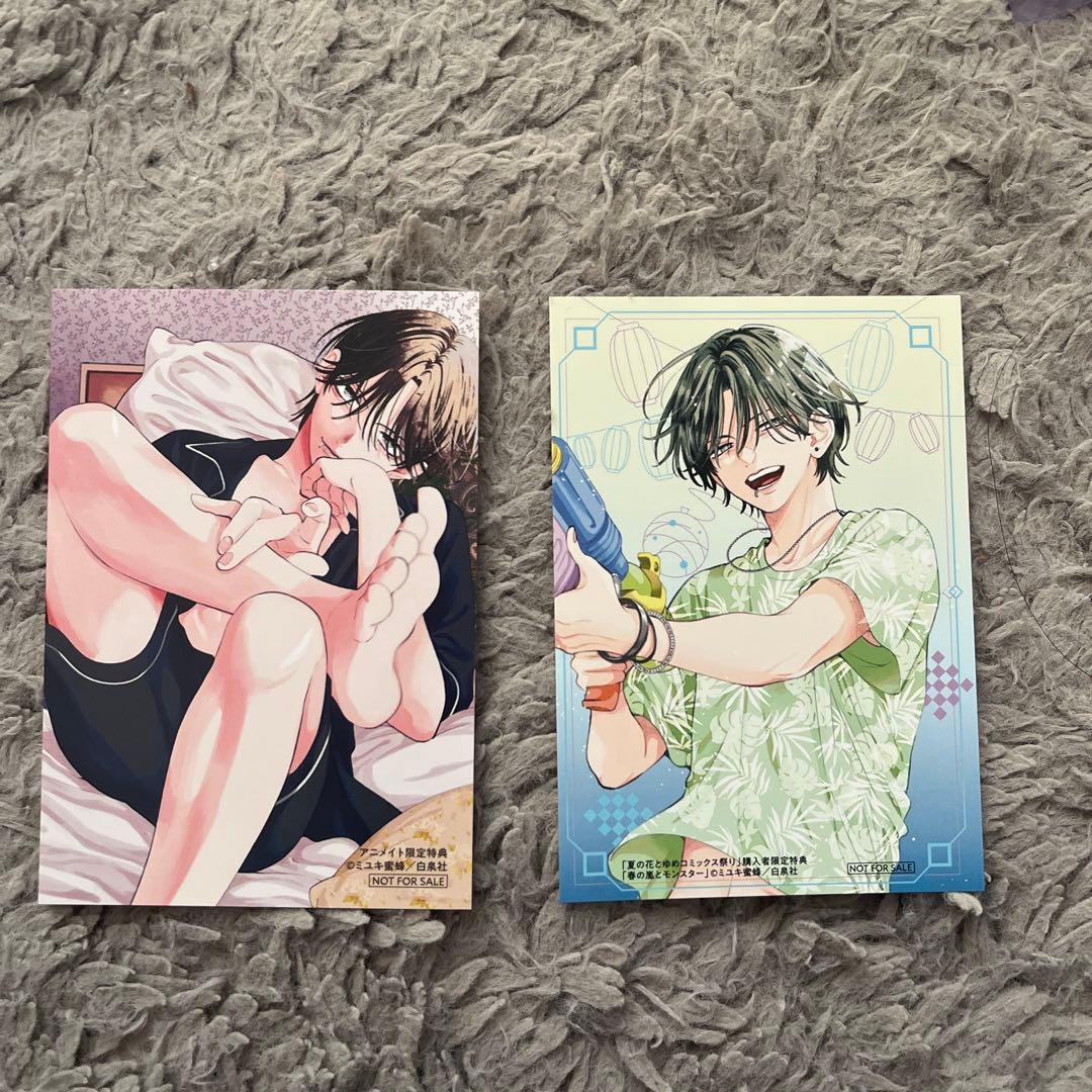 春の嵐とモンスター 特典ミニカード - メルカリ