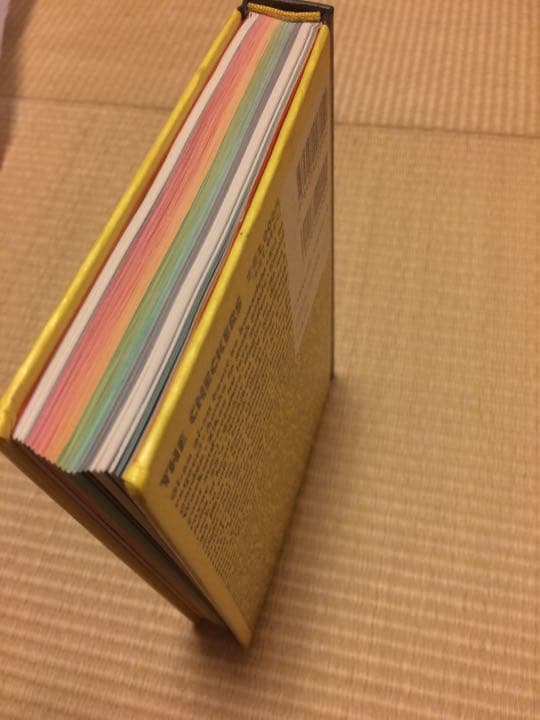 【最終価格】絶版☆希少本 大容量300ページ以上 チェッカーズ おまけCDつき