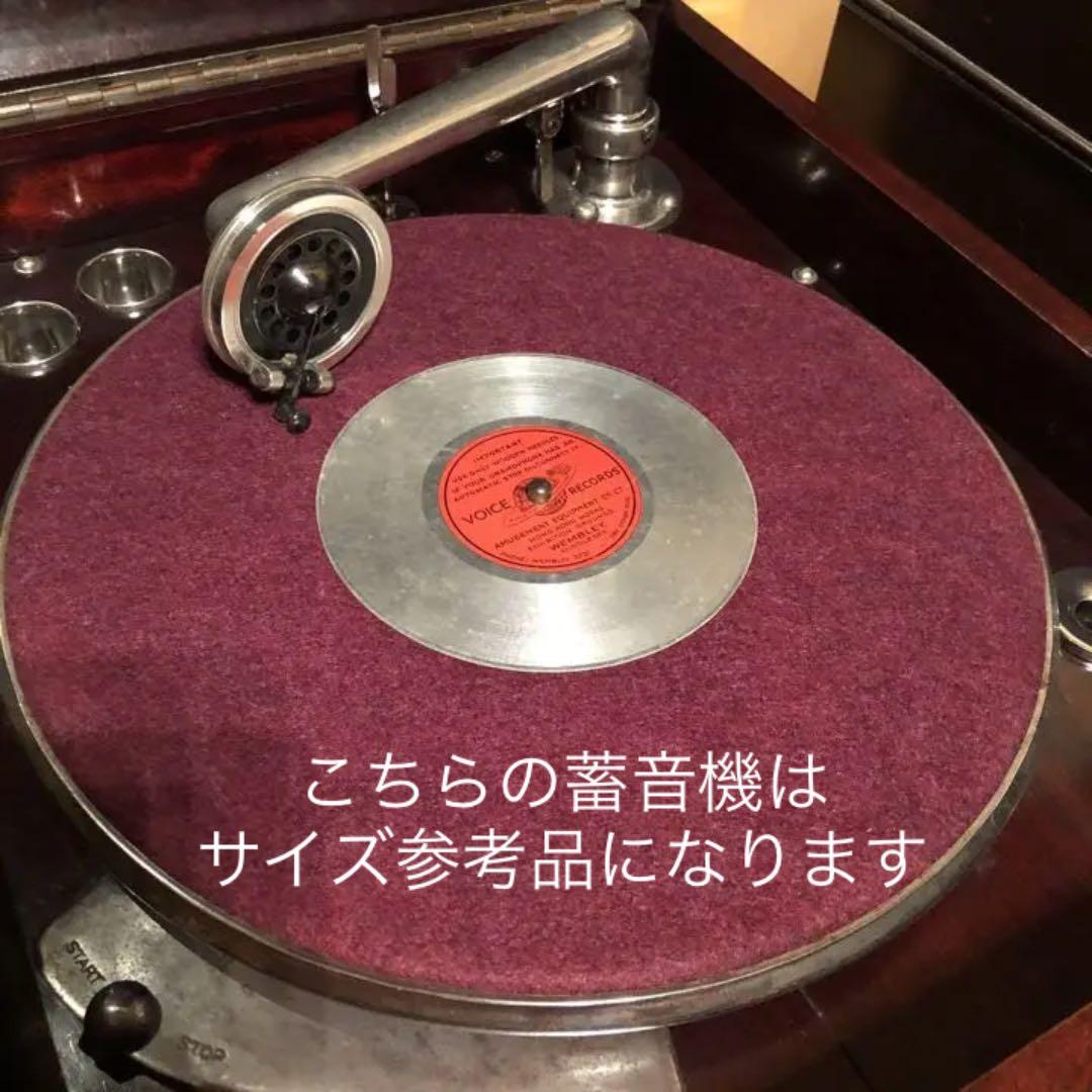 貴重!!!! 世界最小金属製 5インチ SPレコード - メルカリ