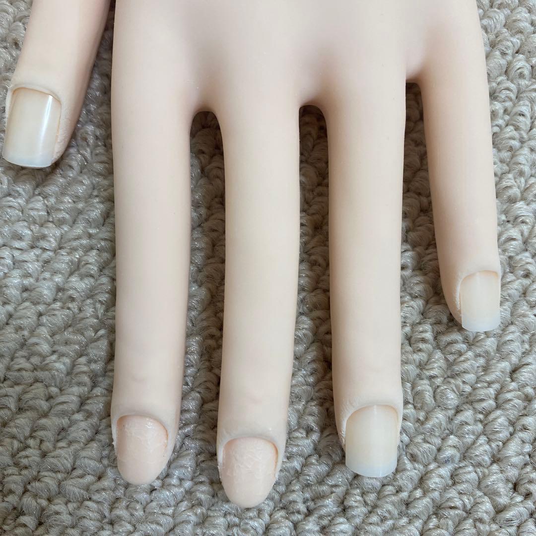 メル67793様専用】JNEC 認定モデルハンド&パートナーハンド - メルカリ