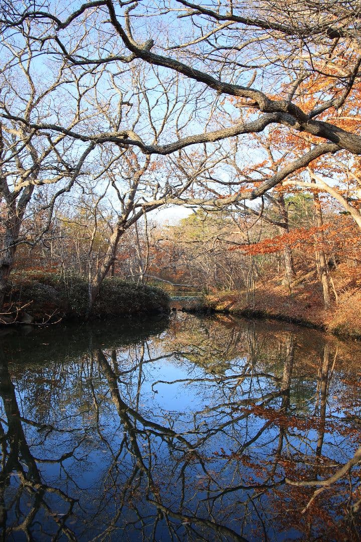 《希少》smc PENTAX-M 24-35mm F3.5 【光学美品】