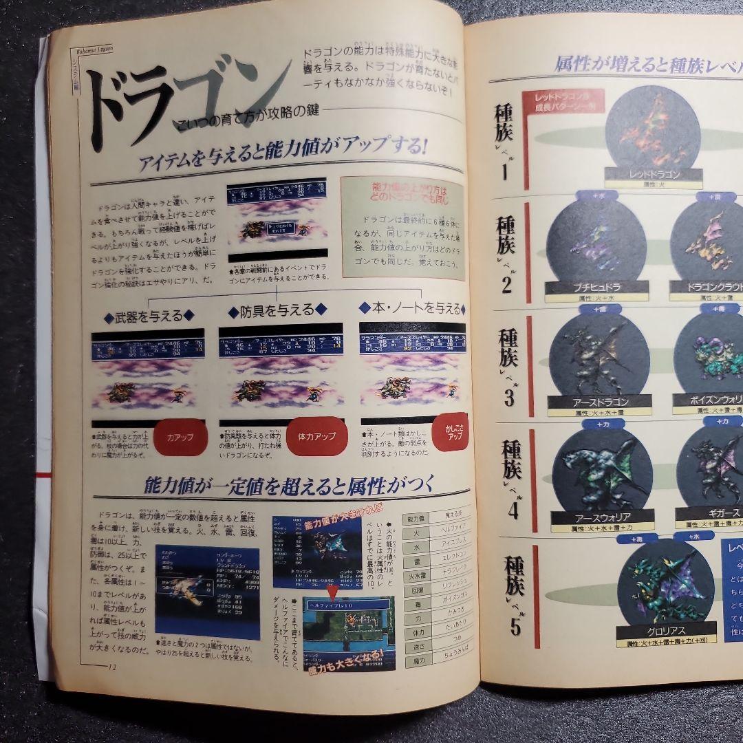 マル勝スーパーファミコン 付録 バハムートラグーン 1冊 - メルカリ