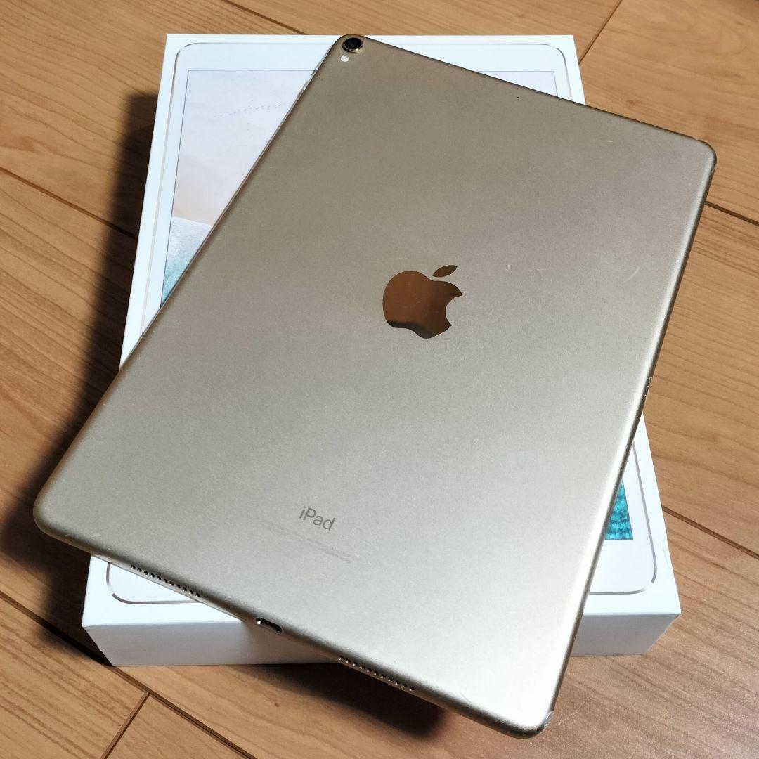 iPad Pro 10.5inch 256GB ジャンク＋アップルペンシルセット