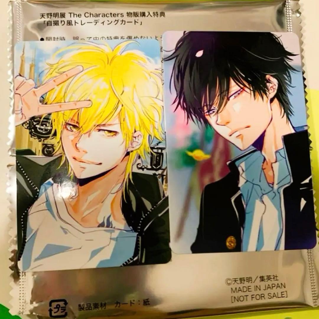 天野明展 2枚セット 雲雀恭弥 ディーノ リボーン REBORN 物販購入特典