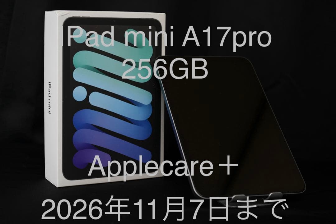 iPad mini A17pro 256GB AppleCar+ スペースグレー - メルカリ