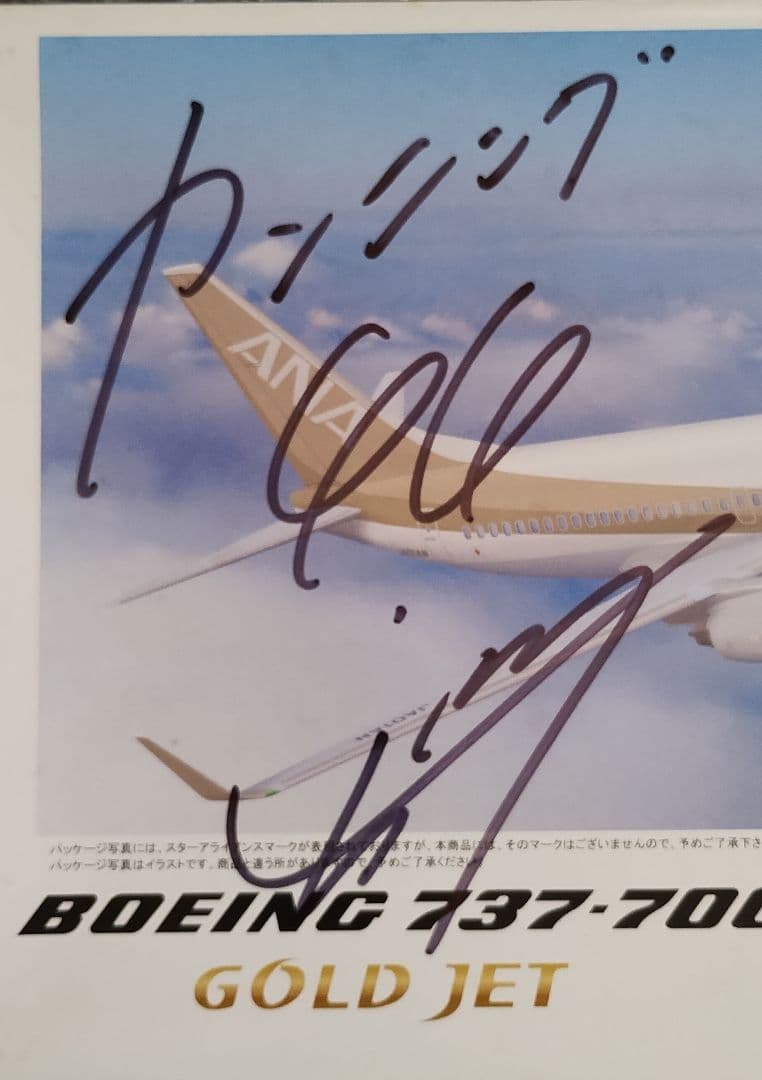 イワヤ スーパーサウンド ANA B737-700 Gold Jet 1/130 - メルカリ