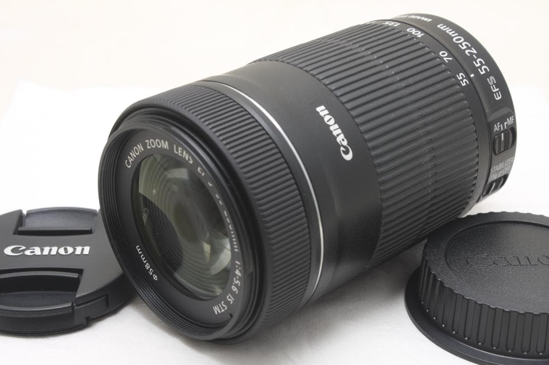 キヤノン EF-S 55-250mm F4-5.6 IS STM 6746 Canon EF-S 55-250mm f/4-5.6 IS STM Lens Review