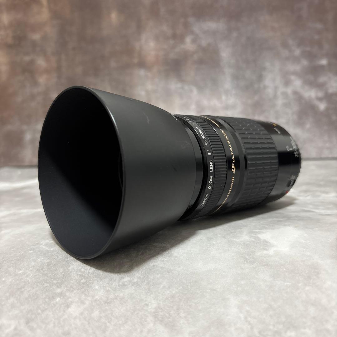 【美品・完動品】Canon EF 75-300mm f/4-5.6 USM