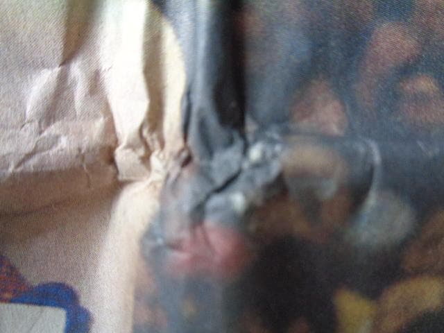 大鵬 訃報、鈴木孝政 - メルカリ