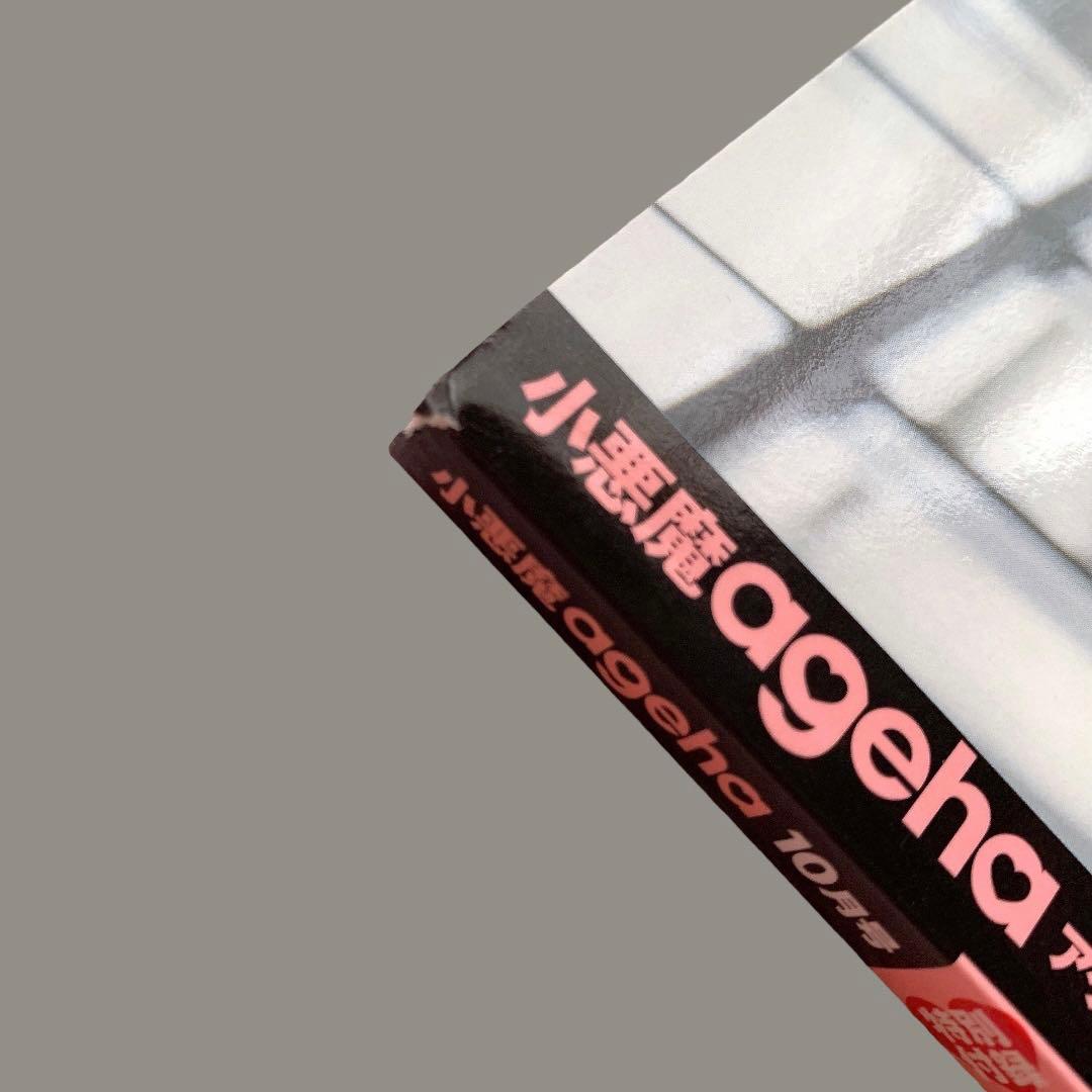 小悪魔ageha 2013年号（10冊セット） - メルカリ