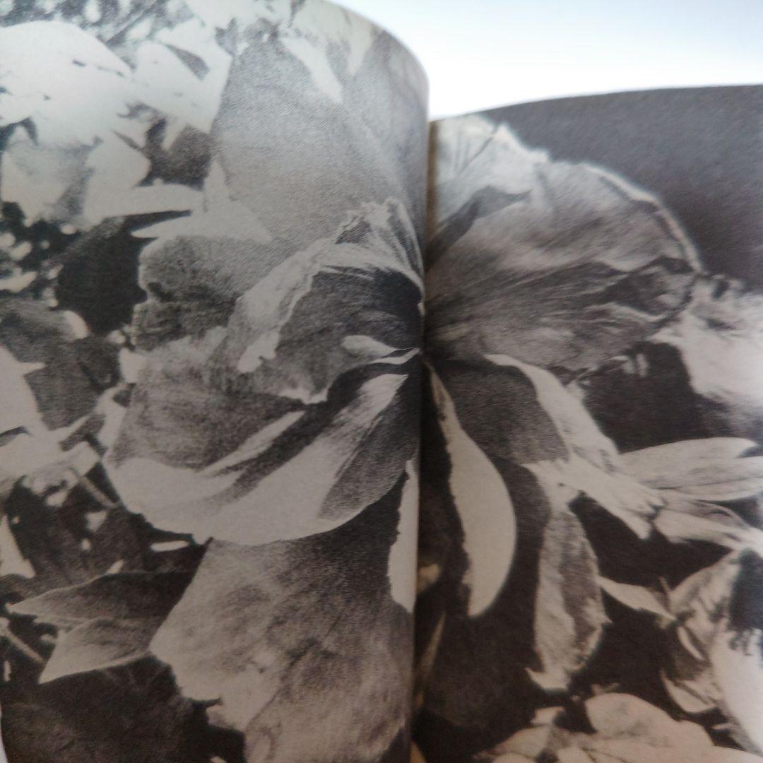 Light & Shadow 光と影 新装版 森山大道 - メルカリ