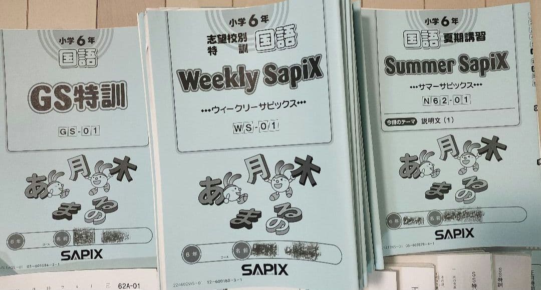 SAPIX 6年生国語セット - メルカリ