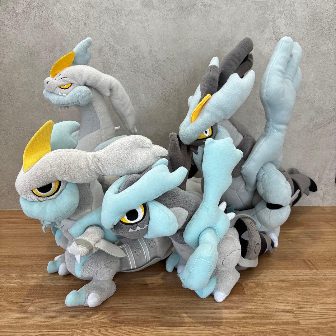 一点もの/廃盤/2012年】ホワイトキュレム ブラックキュレム ポケドール