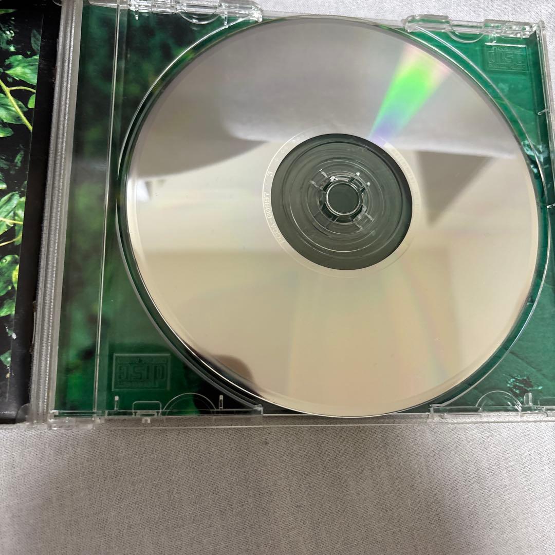 エレファントカシマシ CD サイン入り 宮本浩次 ココロに花を - メルカリ