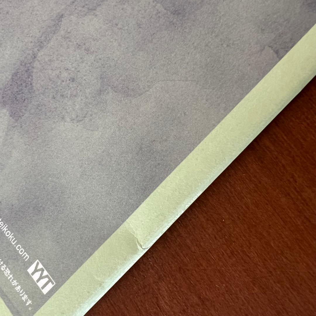 ゆらゆら帝国 空洞です Alternate Version レコード - メルカリ