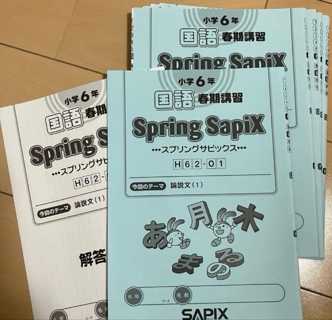 小6 国語 デイリーサピックス 24回分+春期講習•夏期講習 ウィークリー