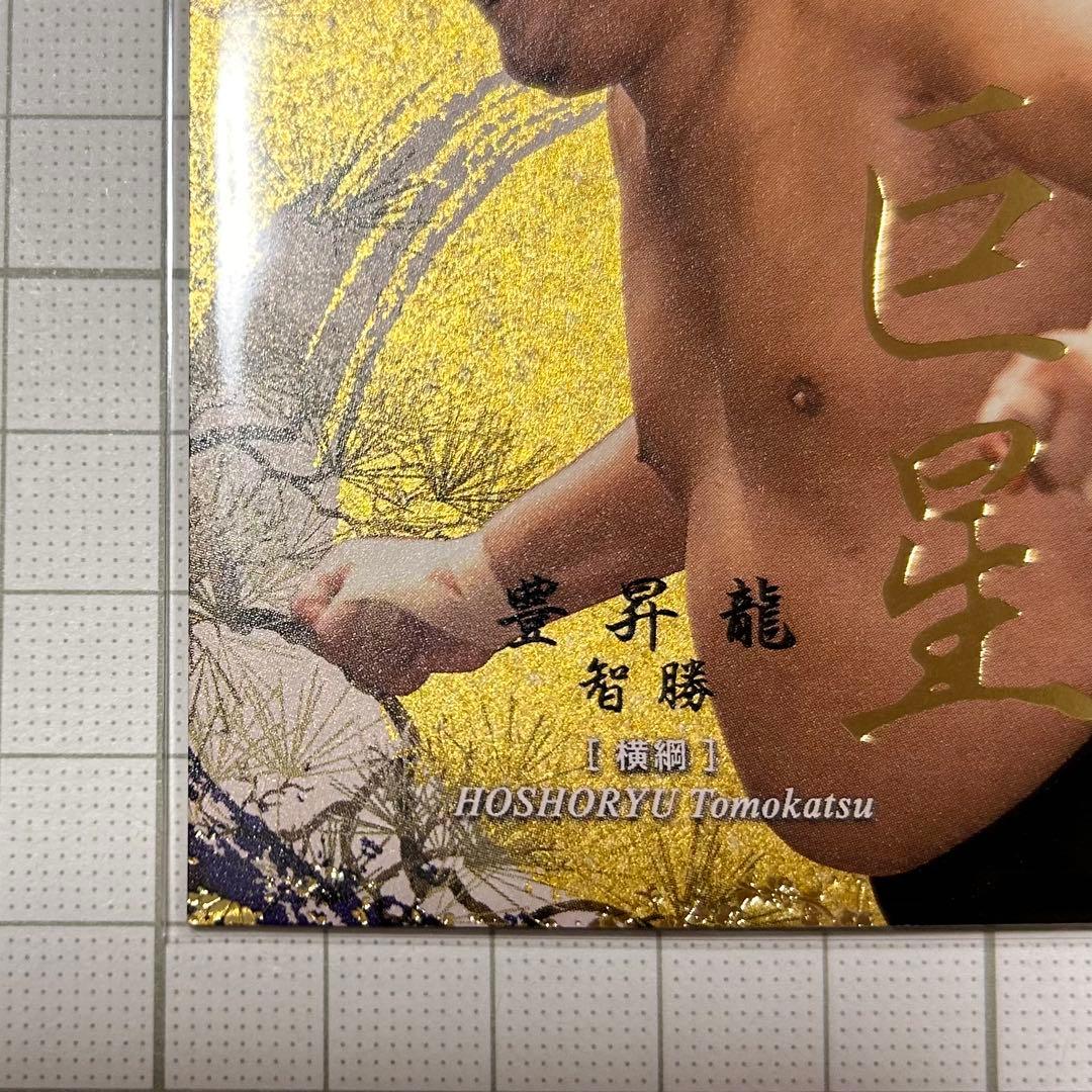 BBM 2026 大相撲カード インサート 巨星 豊昇龍 智勝 50枚限定 - メルカリ