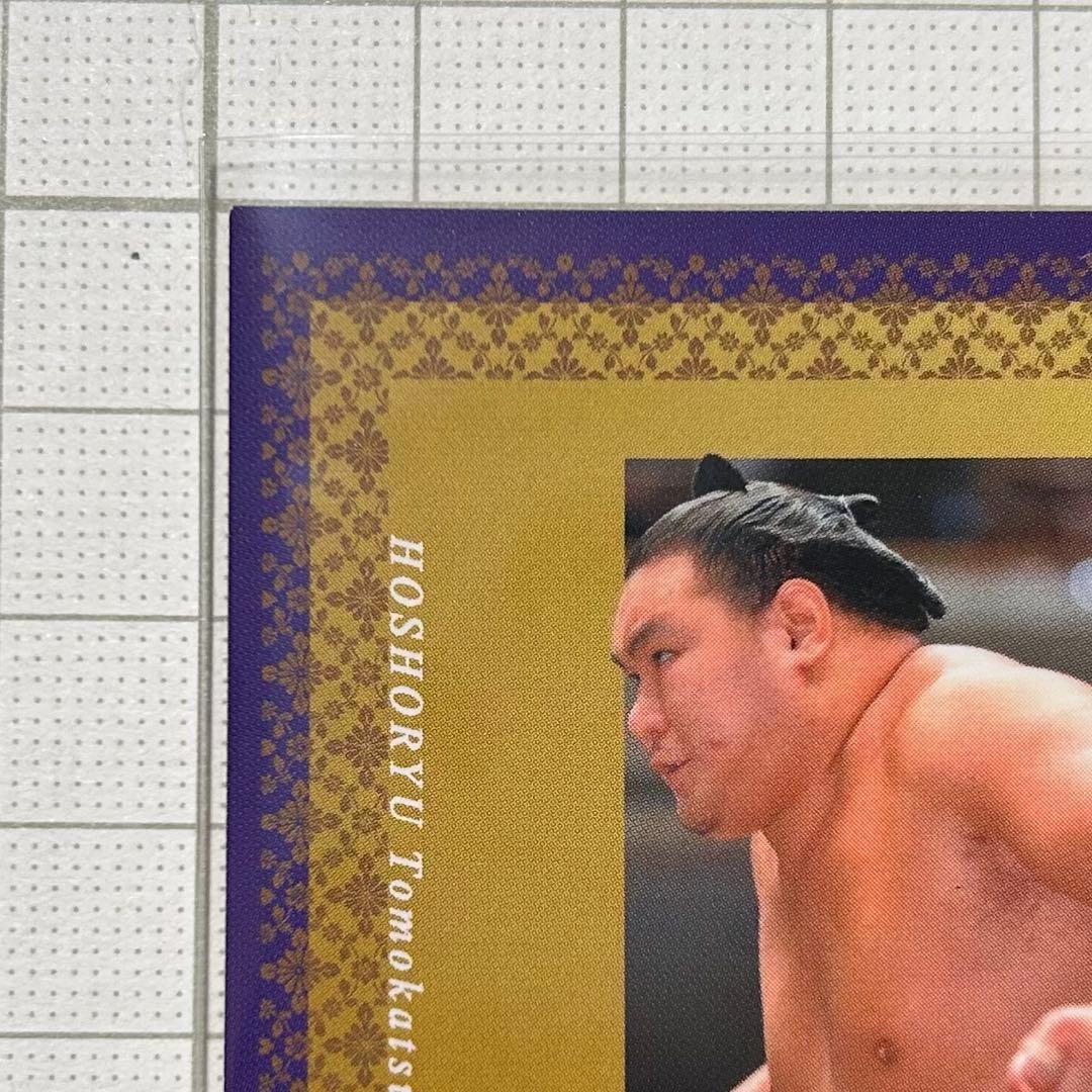 BBM 2026 大相撲カード インサート 巨星 豊昇龍 智勝 50枚限定 - メルカリ