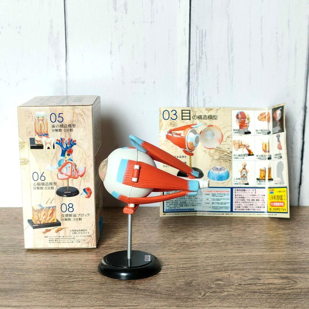 YUJIN 原色人体解剖図鑑 07 目の模型 - メルカリ