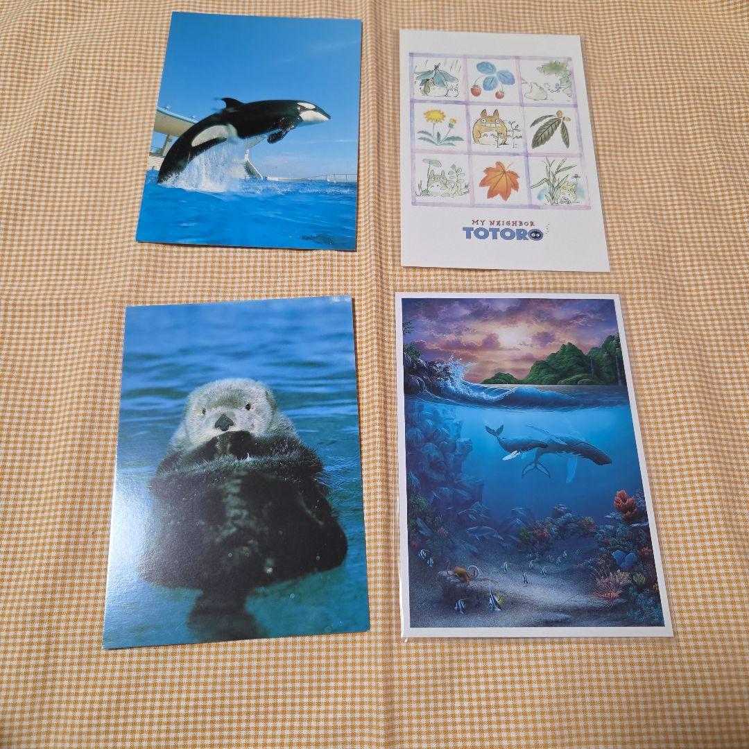 まとめ売り】ポストカード4枚セット - メルカリ