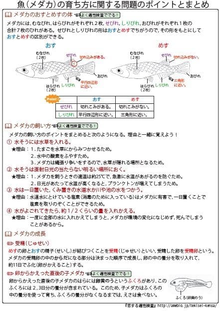 栃木県立共通問題版「塾に通わなくても効率よく最短で合格 志望校別