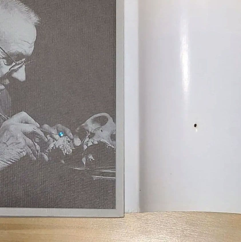 本「人類の起源」エルベール・トマ著 ビーズか宝石の粒が付く改造装丁