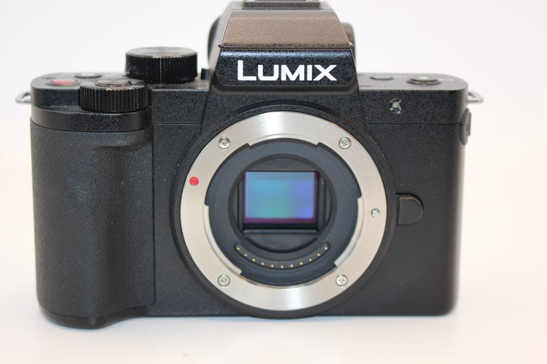 ☆ショット数739回未使用級☆LUMIX DC-G100 ボディ グリップ付き