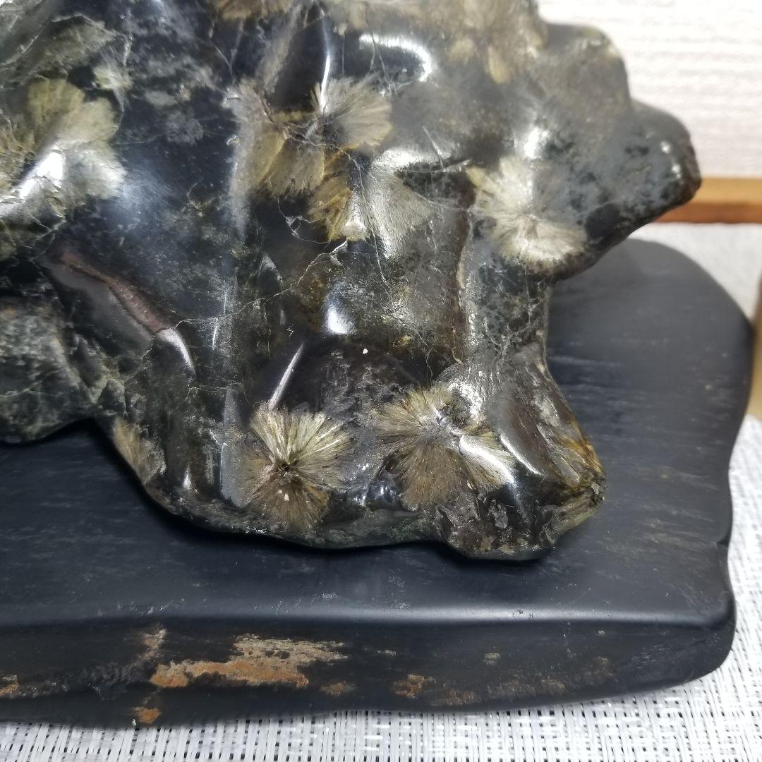 菊花石 鑑賞石 石台座付 - メルカリ