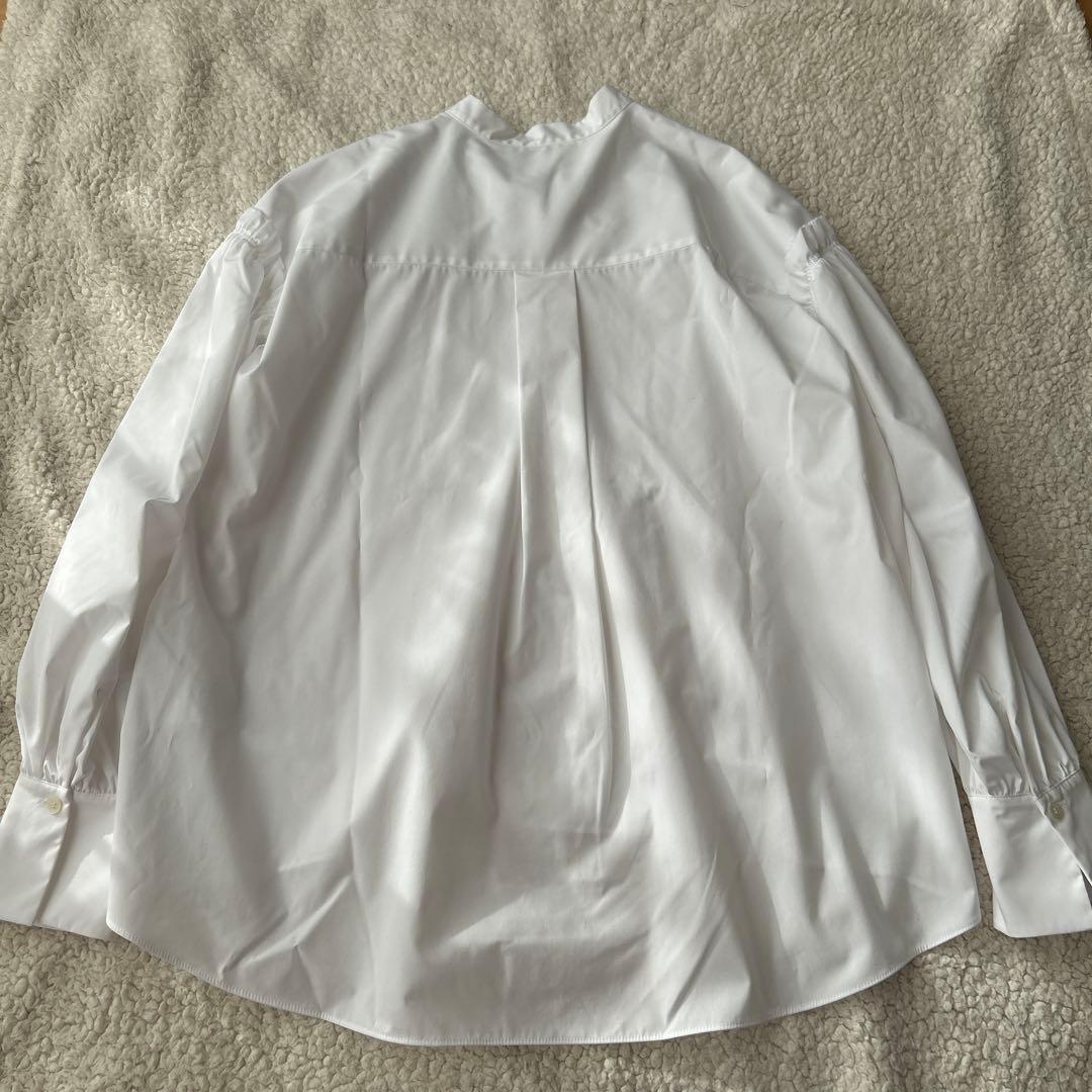 未使用 セオリーリュクスVALENTINE SHIRTフリル 白38 ブラウス - メルカリ