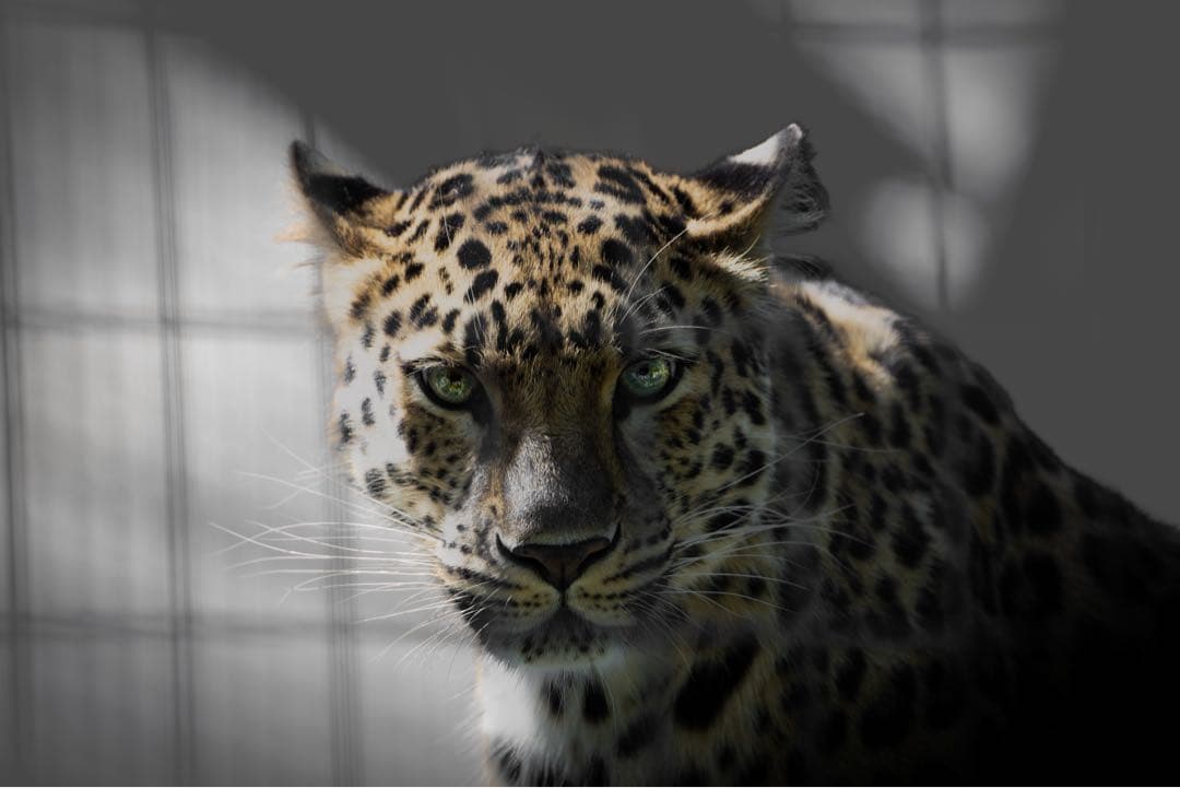 Eマウント　TAMRON 150-500mm F/5-6.7 Di III