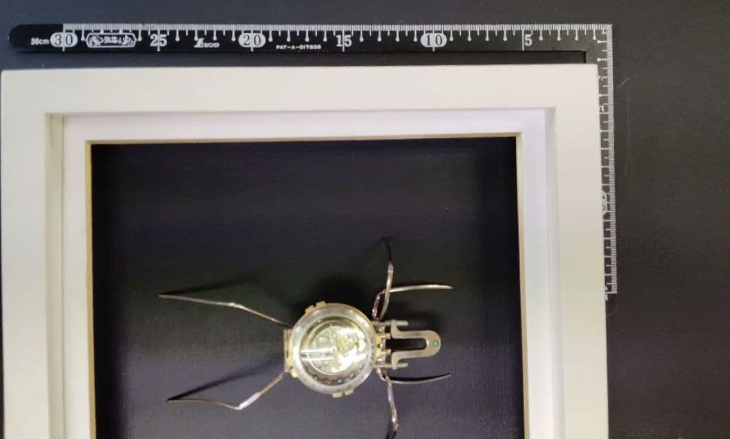 スチームパンク 懐中時計使用昆虫（額入り）G-01 - メルカリ