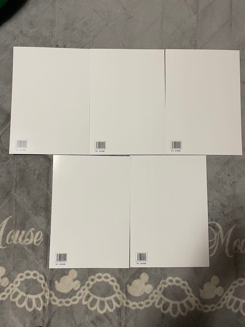 白川未奈　メッセージ　ポートレート　コンプリート