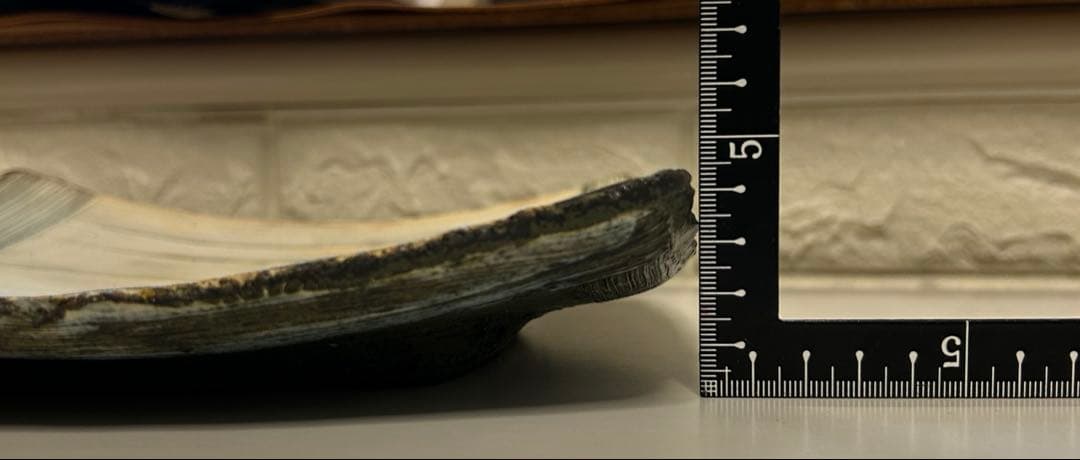 ココチ舎 Cocochiya（市野雅利） 角皿2枚組 インディゴ24cm 丹波焼