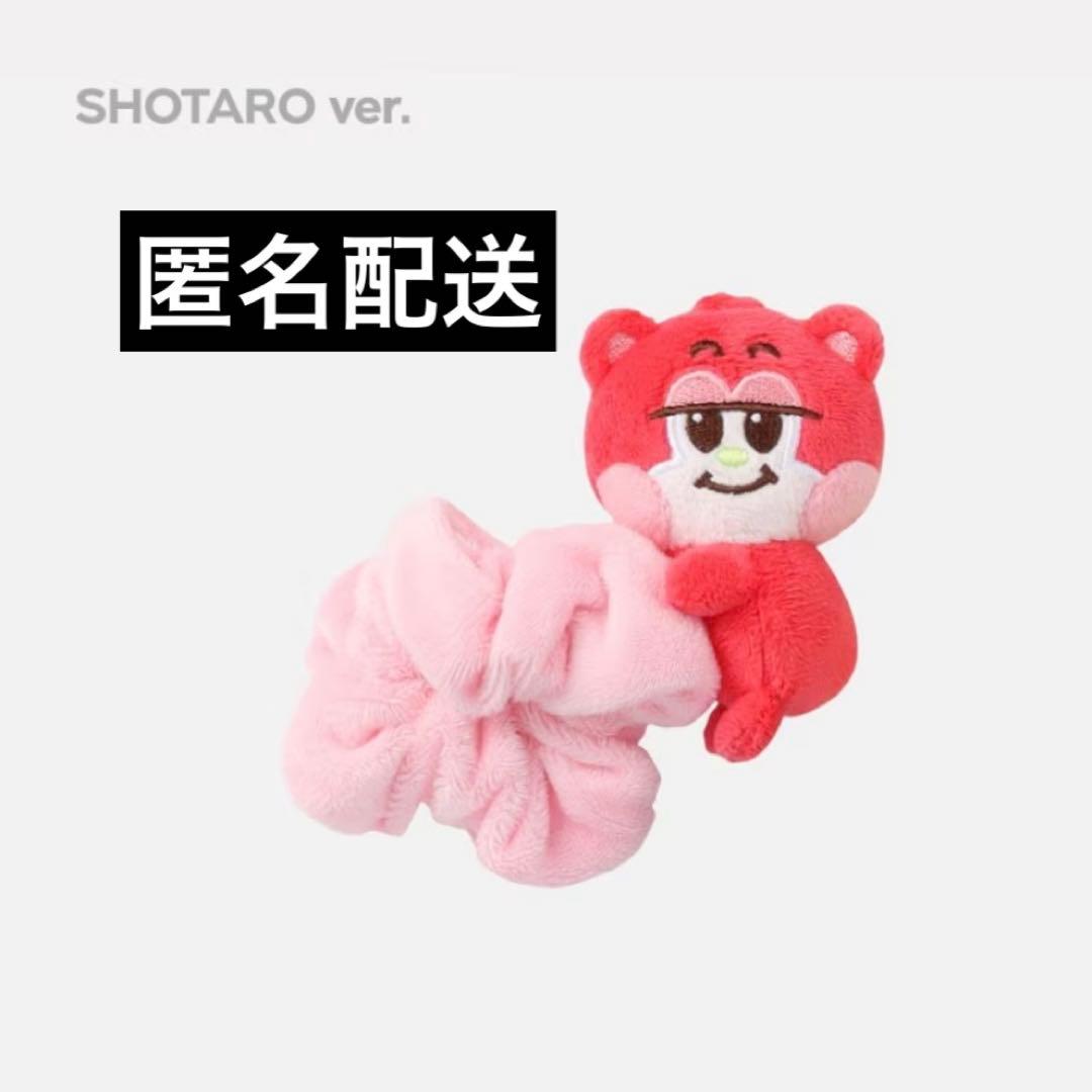 riize シュシュ リズコ ショウタロウ - メルカリ