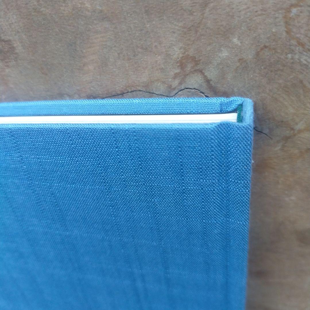 須田悦弘 図録 松濤美術館 杉本博司 川瀬敏郎 彫刻 木彫 現代美術 絶版