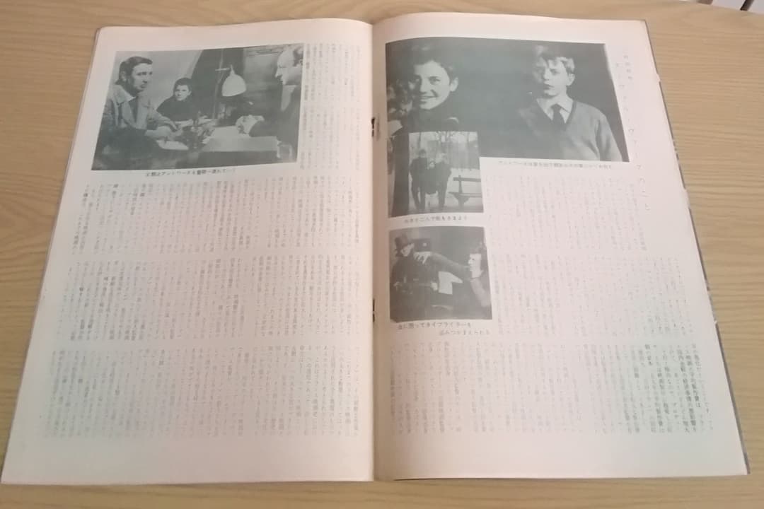 映画パンフレット 「大人は判ってくれない」※野口久光画 フランソワ