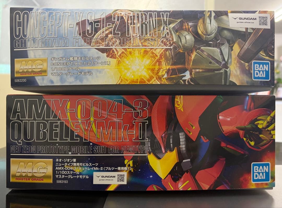 MG ターンX & MG キュベレイMk-II（プルツー専用機） - メルカリ