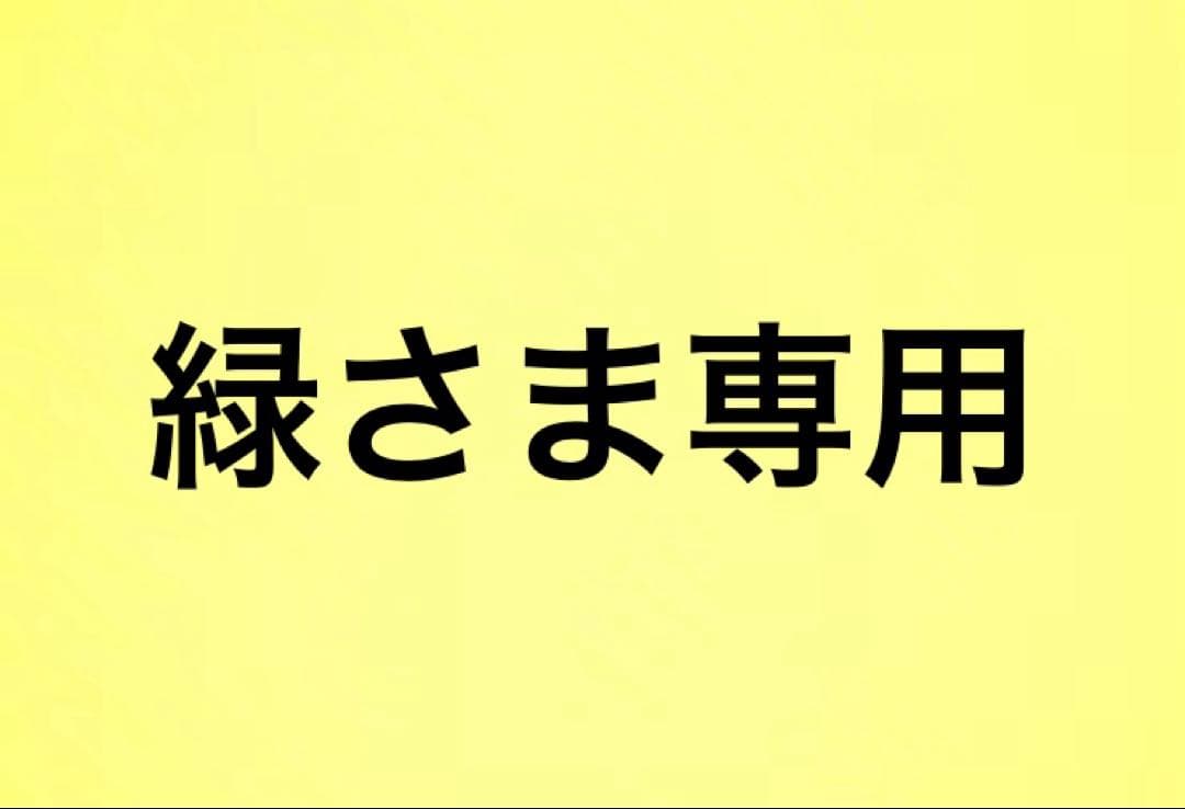 緑さま専用　羊毛フェルトオーダーフラワーリース 3点セットまとめ割引】 サボテン ☆羊毛フェルト ≪送料無料