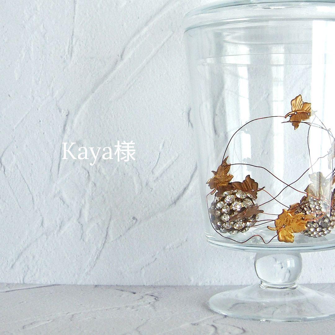 Kaya様 Kaya Offcial Website 薔薇中毒 – Rose Addict – – 耽美派歌手 Kaya の