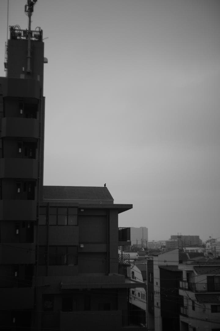 Summitar 50mm f2 戦前最初期コーティングあり 山崎磨き？軍事用